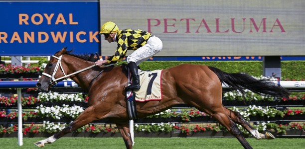 Winx Stakes 2026 Tips, Field, Betting, Odds & Horse Previews
