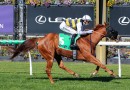 Nearco Frod chasing four straight at Sandown