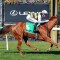 Nearco Frod chasing four straight at Sandown