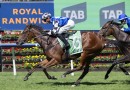 Silver Shadow Stakes Tips, Field, Betting, Odds & Horse Previews – 2026
