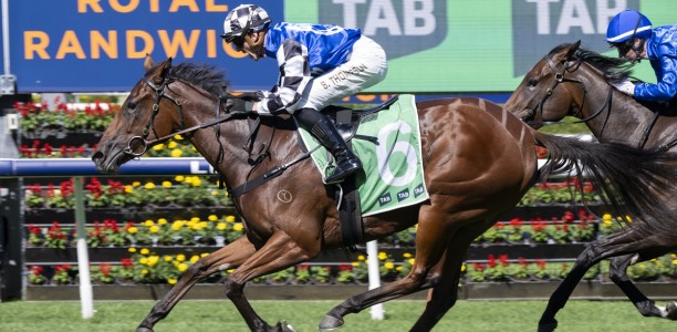 Silver Shadow Stakes Tips, Field, Betting, Odds & Horse Previews – 2026