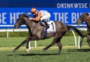 King Of The Sea sails to promising win at Randwick