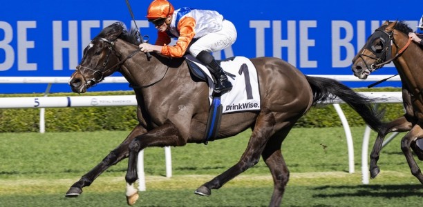 King Of The Sea sails to promising win at Randwick