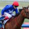 Cavalry Girl’s Carlyon Stakes win headlines Williams day out