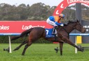 Gold Coast Belle eyes loftier targets after impressive Sandown win