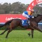 Gold Coast Belle eyes loftier targets after impressive Sandown win