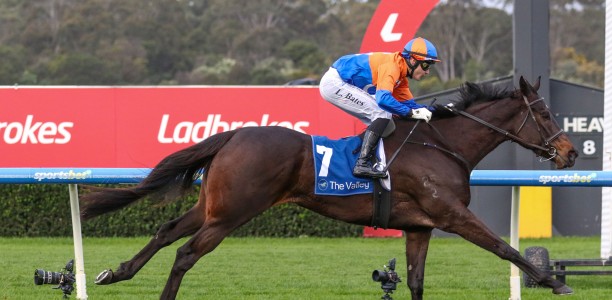 Gold Coast Belle eyes loftier targets after impressive Sandown win