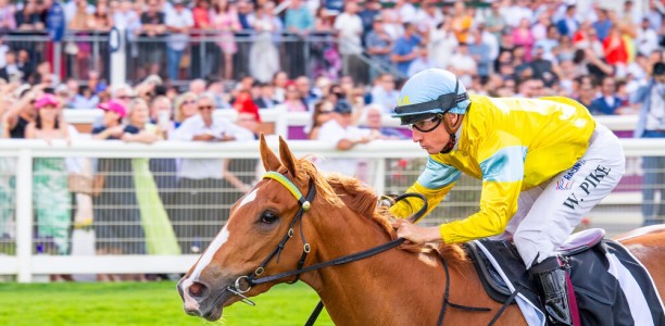 King Of Light justifies short quote in Idyllic Prince Stakes