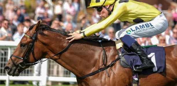 “I think it’s tailormade for him” – Hopewell Rock set for 2026 Melbourne Cup challenge
