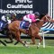 Memsie Stakes Likely Field & Odds – 2026