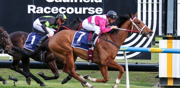 Memsie Stakes Likely Field & Odds – 2026