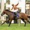 Black Opal winner aiming at Golden Rose