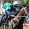 Five ‘boys’ to represent Waller in Memsie Stakes
