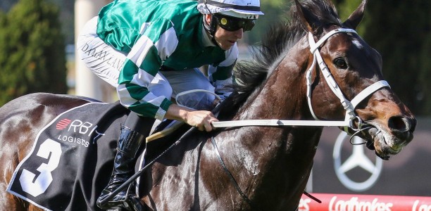 Five ‘boys’ to represent Waller in Memsie Stakes