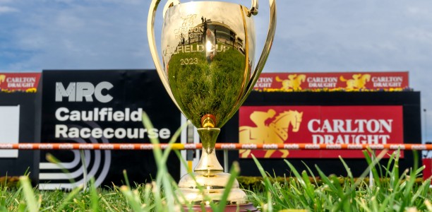 Numbers down in Caulfield Cup entries