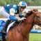 Jimmysstar heads odds in star studded Memsie Stakes field