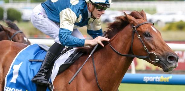 Jimmysstar heads odds in star studded Memsie Stakes field