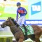 Golden Slipper winner returns in San Domenico Stakes