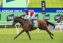 Adrian Knox Stakes winner Profoundly tops Inglis Digital online sale