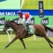 Adrian Knox Stakes winner Profoundly tops Inglis Digital online sale