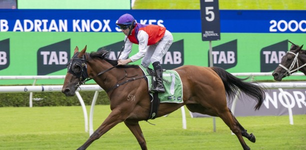Adrian Knox Stakes winner Profoundly tops Inglis Digital online sale