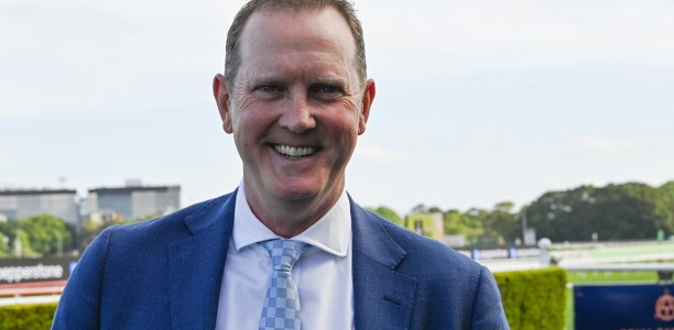 Team Hawkes Wild about San Domenico Stakes debutant