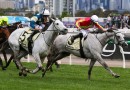 Gavin Bedggood has Heatherlie Stakes bases covered