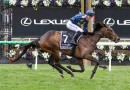 Strictly Business begins Caulfield and Melbourne Cups campaign