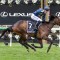 Strictly Business begins Caulfield and Melbourne Cups campaign