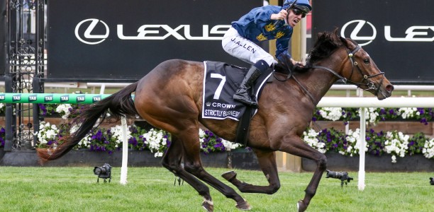 Strictly Business begins Caulfield and Melbourne Cups campaign