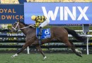 Autumn Glow wins Horse of the Year honours