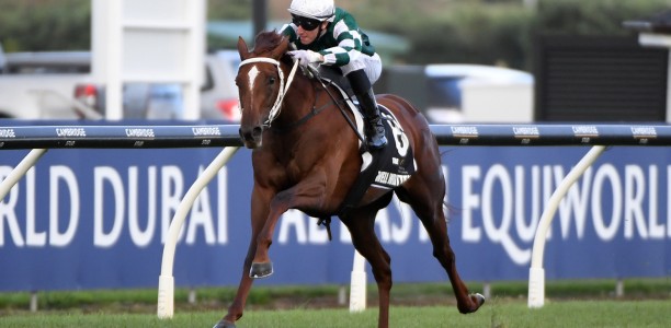 Well Written on track for Proisir Plate