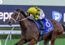 Autumn Glow to bypass The Everest for mile targets