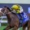 Autumn Glow to bypass The Everest for mile targets