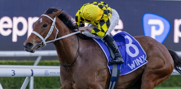 Autumn Glow to bypass The Everest for mile targets