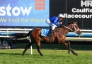Beiwacht runs rivals ragged in Memsie Stakes