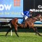 Beiwacht runs rivals ragged in Memsie Stakes