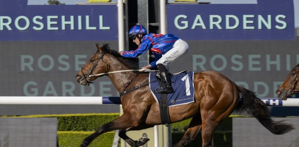 Guest House creates history at Rosehill