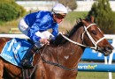 Memsie Stakes 2026 – What the jockeys said