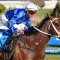 Memsie Stakes 2026 – What the jockeys said