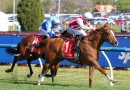 Moir Stakes Likely Field – 2026