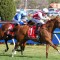 Moir Stakes Likely Field – 2026