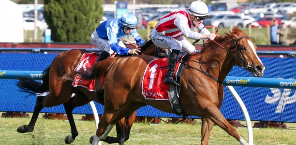 Moir Stakes Likely Field – 2026
