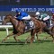 Maher Tempted by 1000m kick-off