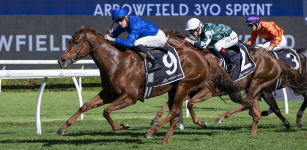Maher Tempted by 1000m kick-off