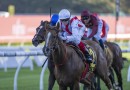 Moir Stakes betting a lottery for punters and bookies