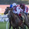 Moir Stakes betting a lottery for punters and bookies