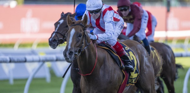 Moir Stakes betting a lottery for punters and bookies