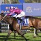 Waller wary of Chelmsford Stakes challengers