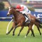 Affirmative Action to buypass Group 1 Proisir Plate